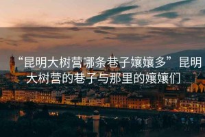 “昆明大樹營哪條巷子?jì)鷭唷崩ッ鞔髽錉I的巷子與那里的孃孃們