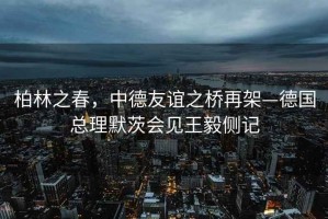 柏林之春，中德友誼之橋再架—德國總理默茨會見王毅側記
