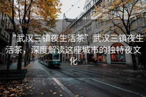 “武漢三鎮(zhèn)夜生活茶”武漢三鎮(zhèn)夜生活茶，深度解讀這座城市的獨(dú)特夜文化