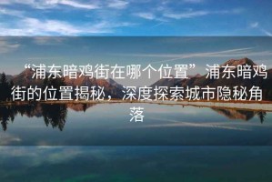 “浦東暗雞街在哪個(gè)位置”浦東暗雞街的位置揭秘，深度探索城市隱秘角落