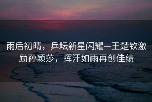 雨后初晴，乒壇新星閃耀—王楚欽激勵(lì)孫穎莎，揮汗如雨再創(chuàng)佳績(jī)