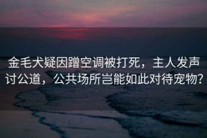 金毛犬疑因蹭空調(diào)被打死，主人發(fā)聲討公道，公共場所豈能如此對待寵物？