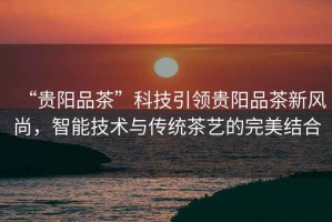 “貴陽品茶”科技引領貴陽品茶新風尚，智能技術與傳統(tǒng)茶藝的完美結合