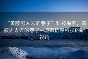 “黃陂男人去的巷子”科技探索，黃陂男人去的巷子—城市信息科技的新視角