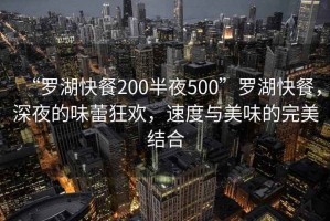 “羅湖快餐200半夜500”羅湖快餐，深夜的味蕾狂歡，速度與美味的完美結(jié)合