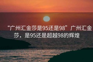 “廣州匯金莎是95還是98”廣州匯金莎，是95還是超越98的輝煌