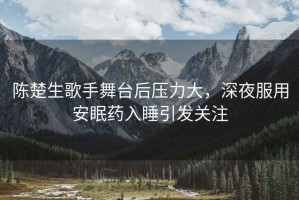 陳楚生歌手舞臺(tái)后壓力大，深夜服用安眠藥入睡引發(fā)關(guān)注