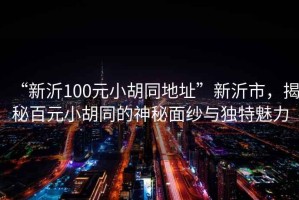 “新沂100元小胡同地址”新沂市，揭秘百元小胡同的神秘面紗與獨特魅力
