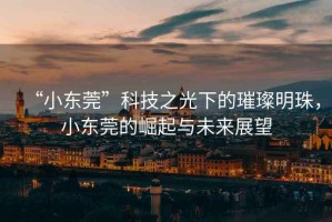 “小東莞”科技之光下的璀璨明珠，小東莞的崛起與未來展望