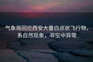 氣象局回應(yīng)西安大量白點(diǎn)狀飛行物，系自然現(xiàn)象，非空中異常