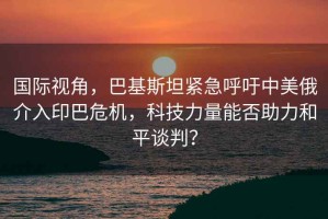 國(guó)際視角，巴基斯坦緊急呼吁中美俄介入印巴危機(jī)，科技力量能否助力和平談判？