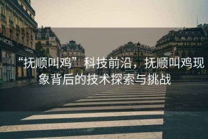 “撫順叫雞”科技前沿，撫順叫雞現(xiàn)象背后的技術(shù)探索與挑戰(zhàn)