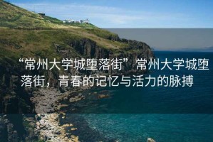 “常州大學(xué)城墮落街”常州大學(xué)城墮落街，青春的記憶與活力的脈搏