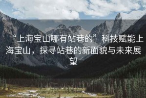 “上海寶山哪有站巷的”科技賦能上海寶山，探尋站巷的新面貌與未來展望