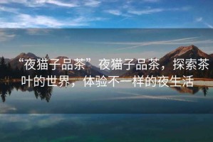 “夜貓子品茶”夜貓子品茶，探索茶葉的世界，體驗不一樣的夜生活
