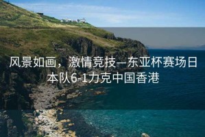 風(fēng)景如畫，激情競(jìng)技—東亞杯賽場(chǎng)日本隊(duì)6-1力克中國(guó)香港