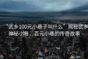 “武鄉(xiāng)100元小巷子叫什么”揭秘武鄉(xiāng)神秘小巷，百元小巷的傳奇故事