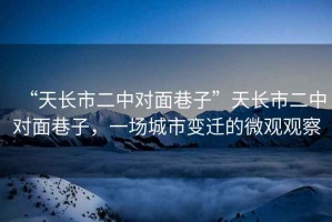 “天長市二中對面巷子”天長市二中對面巷子，一場城市變遷的微觀觀察