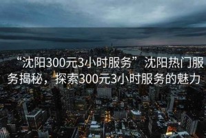 “沈陽300元3小時服務(wù)”沈陽熱門服務(wù)揭秘，探索300元3小時服務(wù)的魅力