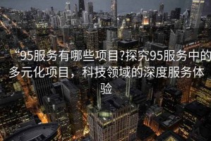 “95服務(wù)有哪些項目?探究95服務(wù)中的多元化項目，科技領(lǐng)域的深度服務(wù)體驗