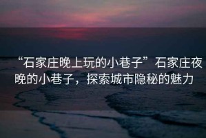 “石家莊晚上玩的小巷子”石家莊夜晚的小巷子，探索城市隱秘的魅力