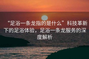 “足浴一條龍指的是什么”科技革新下的足浴體驗(yàn)，足浴一條龍服務(wù)的深度解析