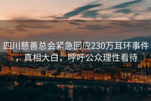 四川慈善總會(huì)緊急回應(yīng)230萬耳環(huán)事件，真相大白，呼吁公眾理性看待