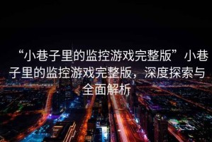 “小巷子里的監(jiān)控游戲完整版”小巷子里的監(jiān)控游戲完整版，深度探索與全面解析