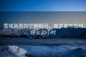 雪域高原的寧靜瞬間，普京宣布臨時?；?0小時