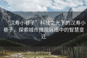 “漢壽小巷子”科技之光下的漢壽小巷子，探索城市微觀脈絡(luò)中的智慧變遷