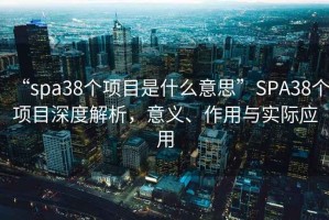 “spa38個項目是什么意思”SPA38個項目深度解析，意義、作用與實際應(yīng)用