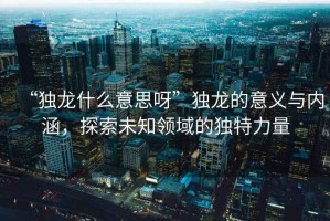 “獨龍什么意思呀”獨龍的意義與內(nèi)涵，探索未知領(lǐng)域的獨特力量