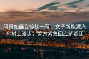 風景如畫變驚悚一幕，女子新能源汽車樹上漫步，警方緊急回應解疑團
