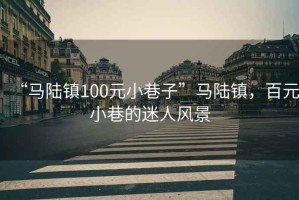 “馬陸鎮(zhèn)100元小巷子”馬陸鎮(zhèn)，百元小巷的迷人風景