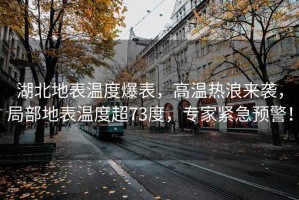 湖北地表溫度爆表，高溫熱浪來襲，局部地表溫度超73度，專家緊急預警！