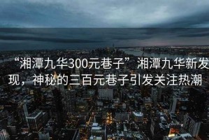 “湘潭九華300元巷子”湘潭九華新發(fā)現(xiàn)，神秘的三百元巷子引發(fā)關(guān)注熱潮