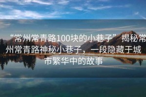 “常州常青路100塊的小巷子”揭秘常州常青路神秘小巷子，一段隱藏于城市繁華中的故事
