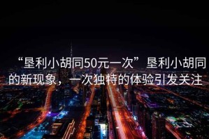 “墾利小胡同50元一次”墾利小胡同的新現(xiàn)象，一次獨特的體驗引發(fā)關(guān)注