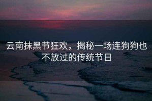 云南抹黑節(jié)狂歡，揭秘一場(chǎng)連狗狗也不放過(guò)的傳統(tǒng)節(jié)日
