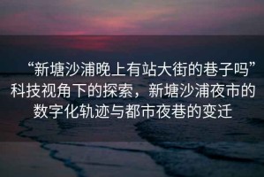 “新塘沙浦晚上有站大街的巷子嗎”科技視角下的探索，新塘沙浦夜市的數(shù)字化軌跡與都市夜巷的變遷