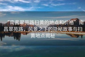 “南昌翠苑路掃黃的地點和價格”南昌翠苑路，風(fēng)景之下的隱秘故事與掃黃地點揭秘