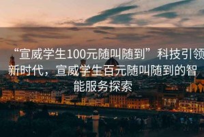 “宣威學(xué)生100元隨叫隨到”科技引領(lǐng)新時(shí)代，宣威學(xué)生百元隨叫隨到的智能服務(wù)探索