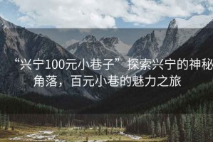 “興寧100元小巷子”探索興寧的神秘角落，百元小巷的魅力之旅
