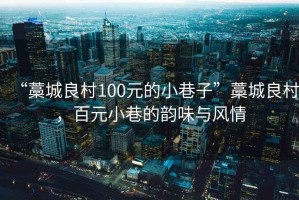 “藁城良村100元的小巷子”藁城良村，百元小巷的韻味與風情