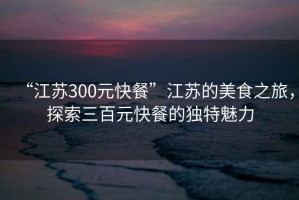 “江蘇300元快餐”江蘇的美食之旅，探索三百元快餐的獨特魅力