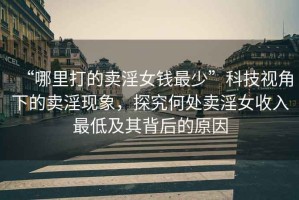 “哪里打的賣淫女錢最少”科技視角下的賣淫現(xiàn)象，探究何處賣淫女收入最低及其背后的原因