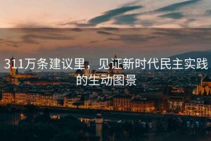 311萬條建議里，見證新時(shí)代民主實(shí)踐的生動(dòng)圖景