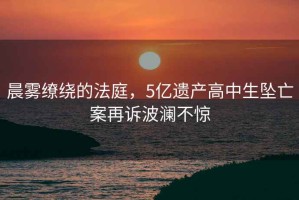 晨霧繚繞的法庭，5億遺產(chǎn)高中生墜亡案再訴波瀾不驚