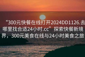 “300元快餐在線打開2024DD1126.去哪里找合適24小時(shí).cc”探索快餐新境界，300元美食在線與24小時(shí)美食之旅