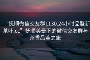 “撫順微信交友群1130.24小時(shí)品鑒新茶葉.cc”撫順美景下的微信交友群與茶香品鑒之旅
